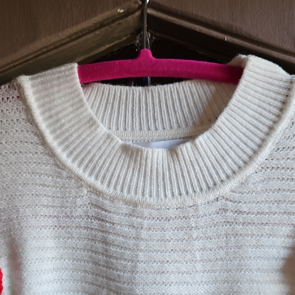 Eesome Cream Sweater with Colorful Embroidered Floral Accents - Picture 2 of 10